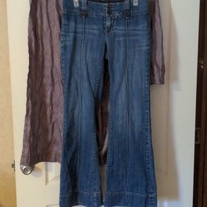 Banana Republic Size 6 Urban Flare Jeans
